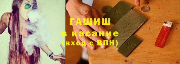 молекула духа Богданович