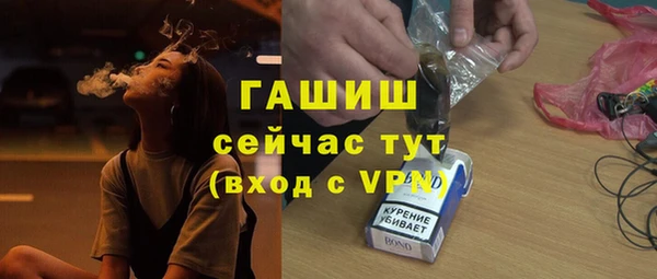 молекула духа Богданович