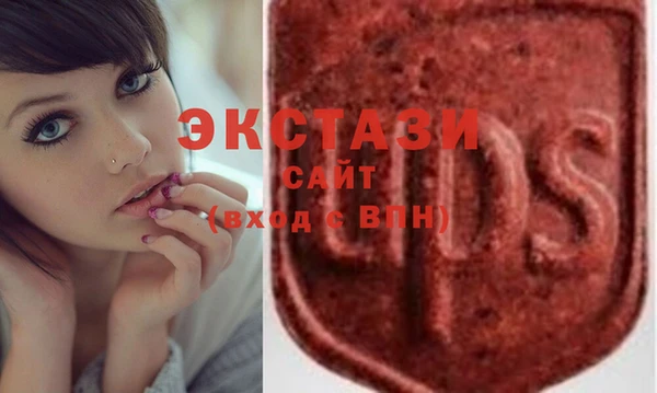 молекула духа Богданович