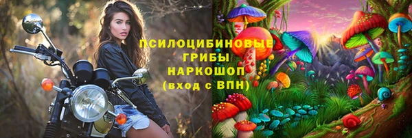 синтетический гашиш Бородино