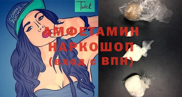 молекула духа Богданович