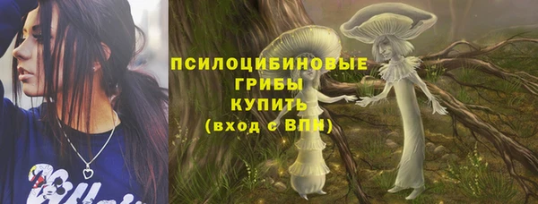 молекула духа Богданович