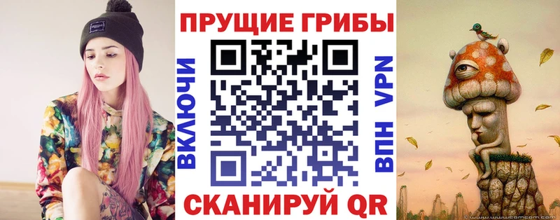 Псилоцибиновые грибы прущие грибы  Каспийск 